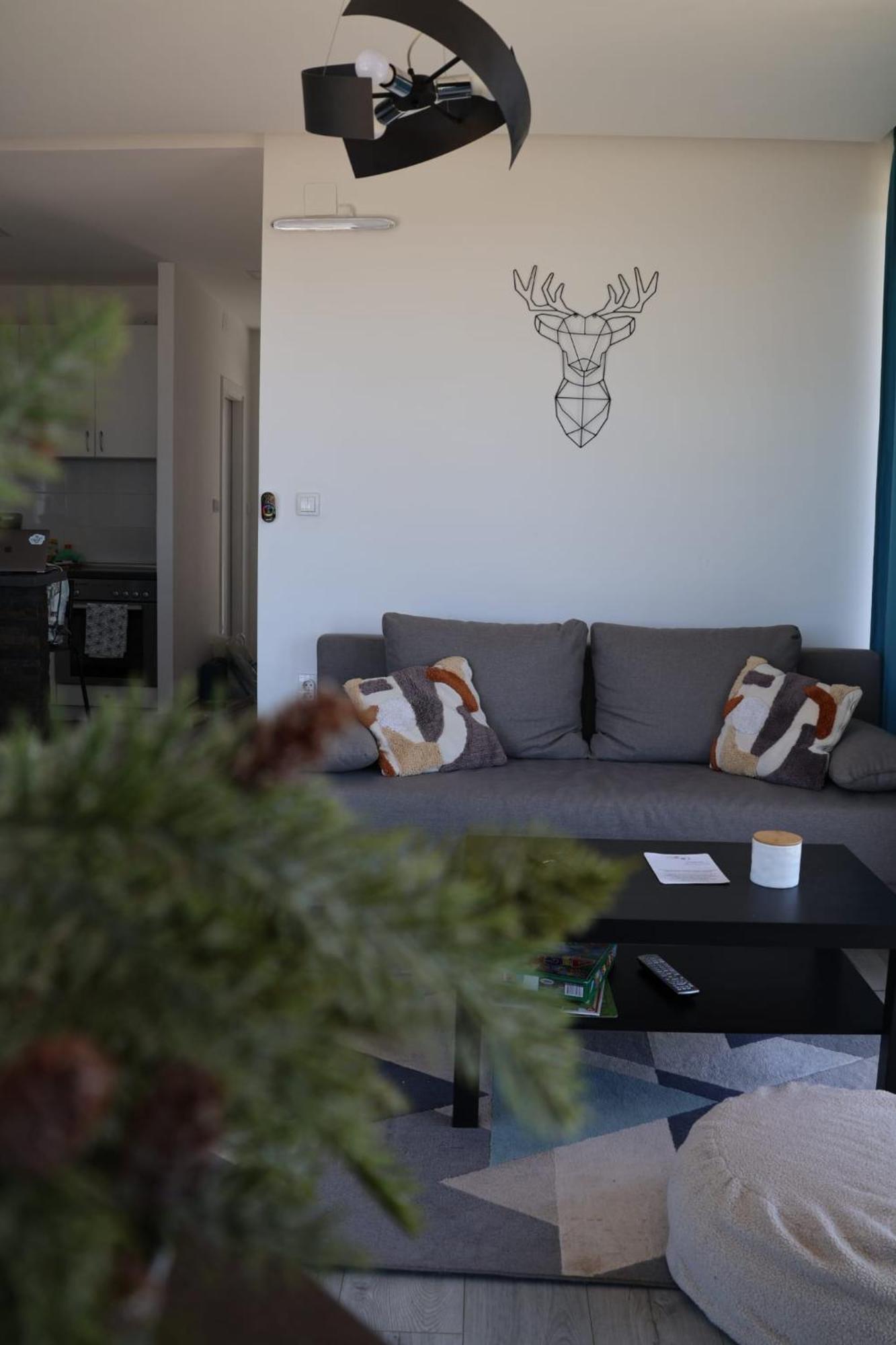 Vila Onyx Divčibare Exteriér fotografie